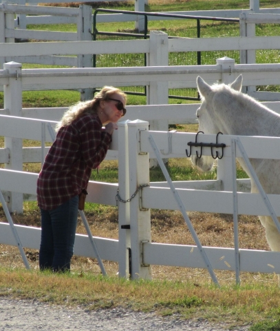 veteran looking at a horse