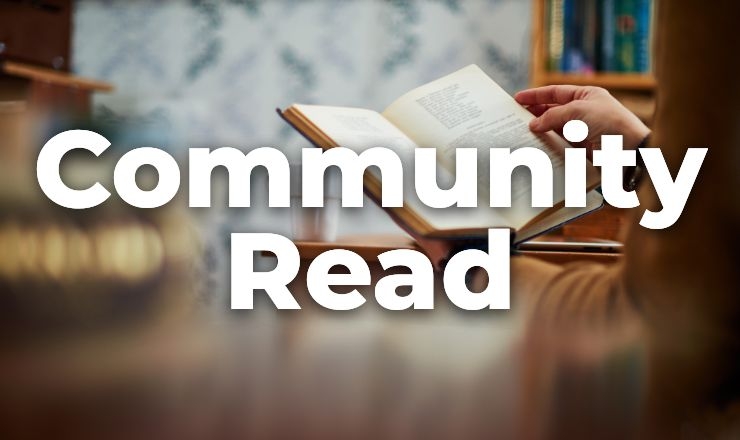 someone reading a book in a cozy spot